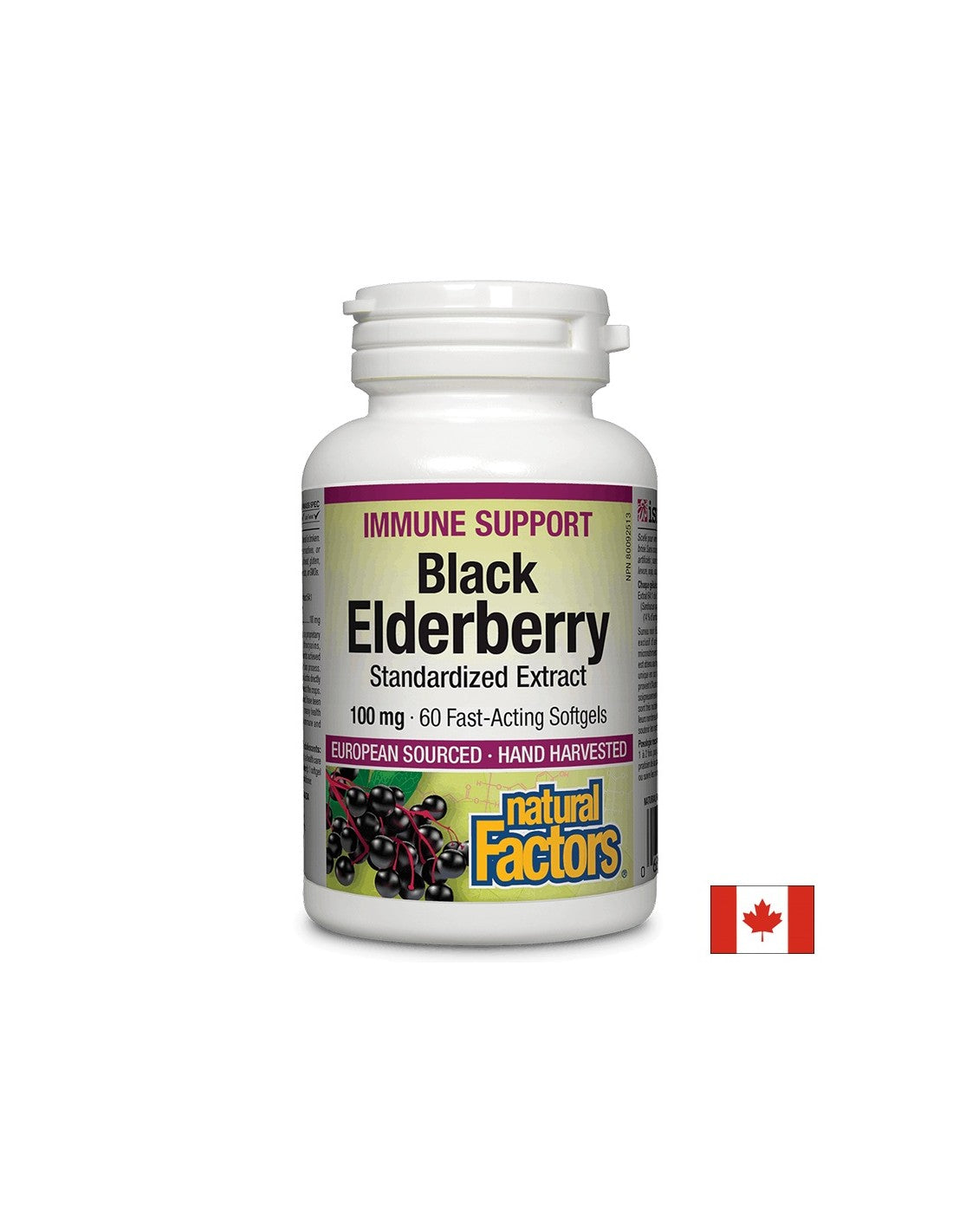 Schwarzer Älterberry standardisierter Extrakt 100 mg - 60 Gelkapseln