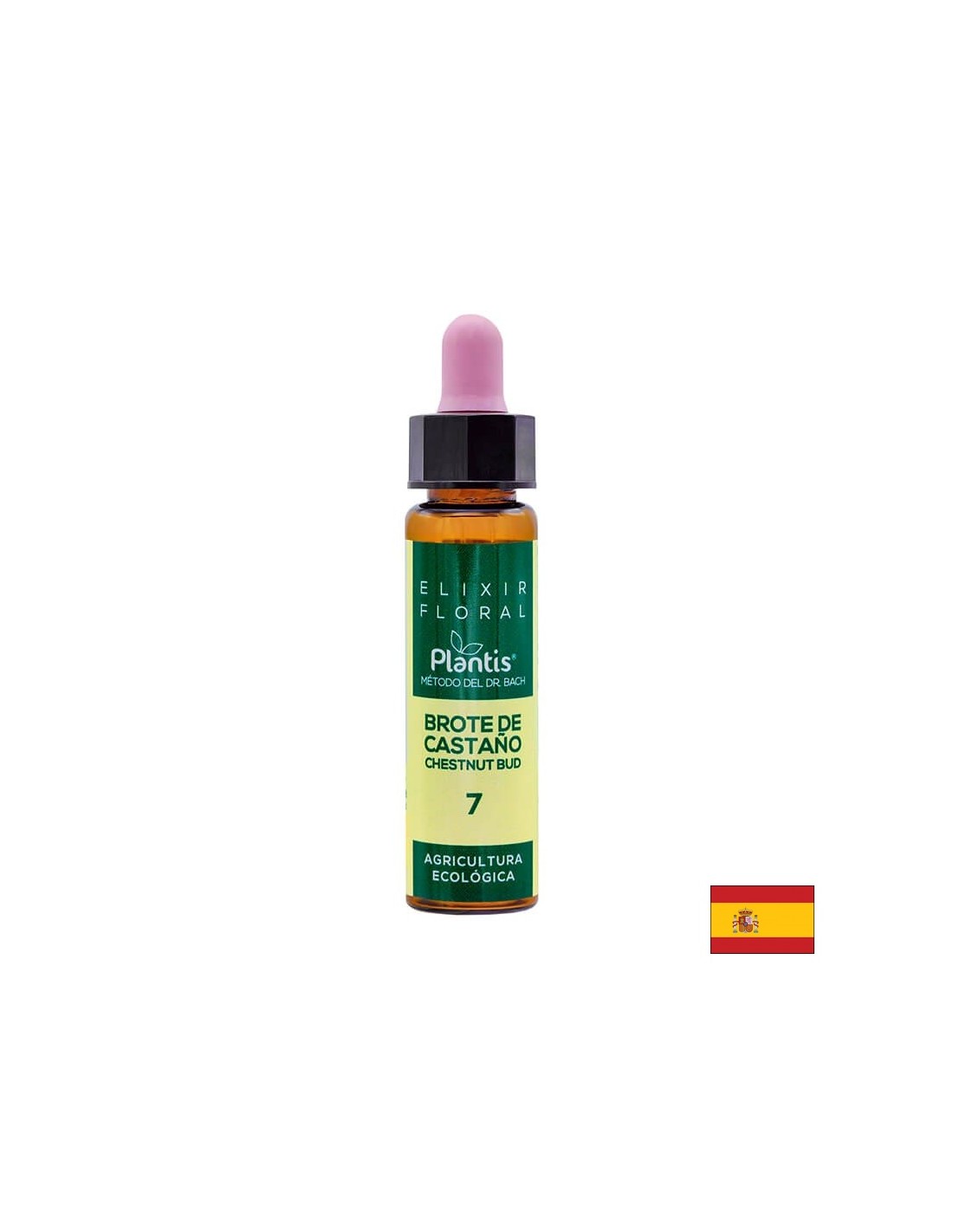 Brote de castaño (Kastanienblütenelixier) Blumenelixier 7 – Blütenelixier der Kastanienknospen, 10 ml Arte<tc>san</tc>ia