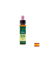 Brote de castaño (Kastanienblütenelixier) Blumenelixier 7 – Blütenelixier der Kastanienknospen, 10 ml Arte<tc>san</tc>ia