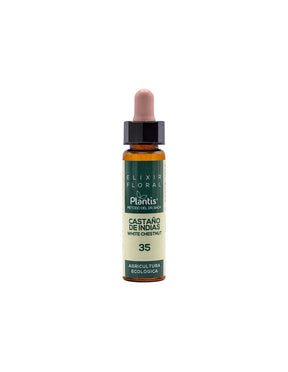 Flower elixir of horse chestnut - for intrusive thoughts - Drops according to the method of Dr. Bach, 10 ml - Nutra Best Europe