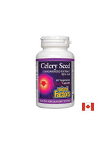 Selleriesamen standardisierter Extrakt 85% 3NB 75 mg - 60 Kapseln