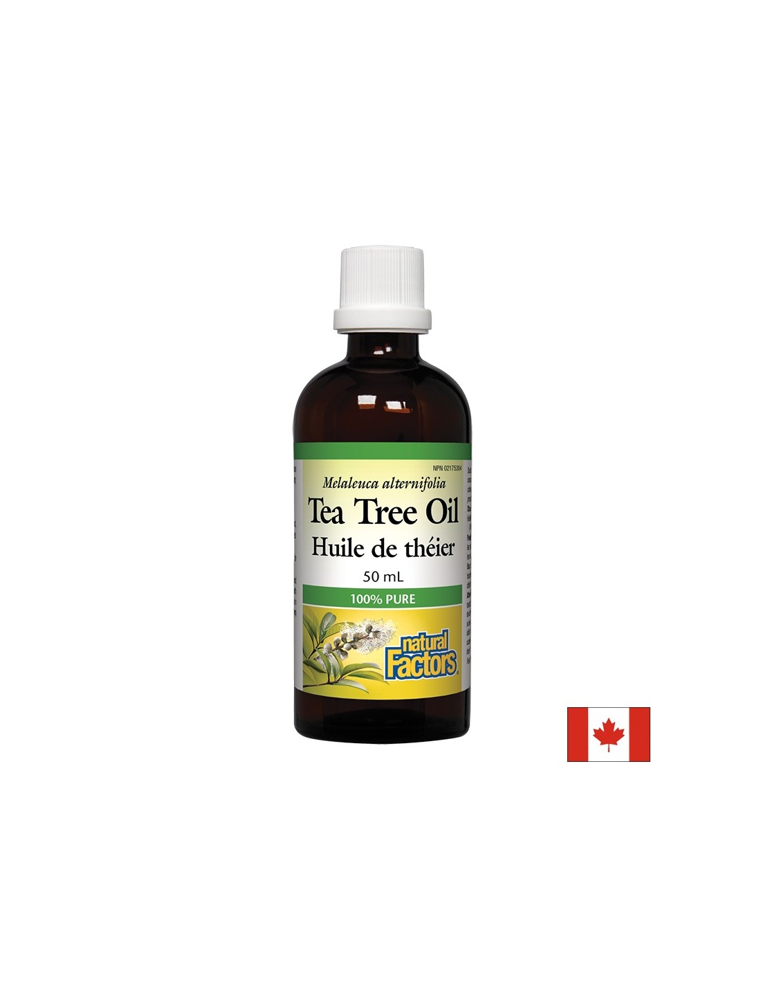 Teebaumöl 50 ml - 50 ml