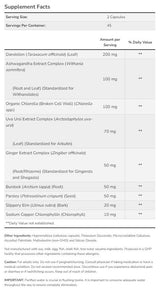Reinigung & Entgiftung | Leber- und Nierenunterstützung - 90 Kapseln