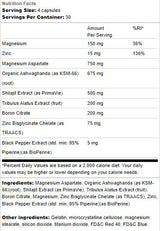 Testunterstützung | mit Ashwagandha & Shilajit - 120 Kapseln