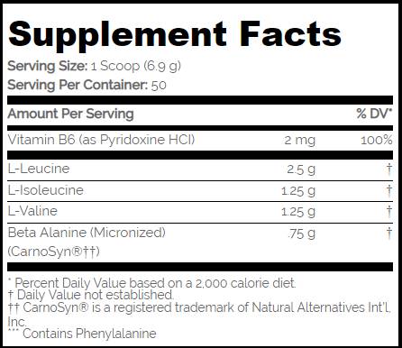 BCAA Pro 5000 / Aspartam kostenlos - 345 Gramm