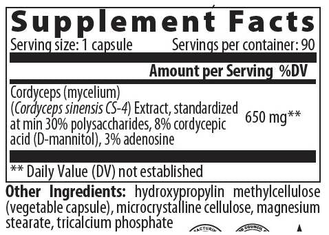 Cordyceps 650 mg - 60 Kapseln