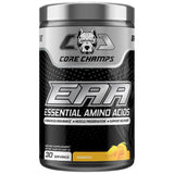 EAA -Pulver | Aromatisiert - 405 Gramm