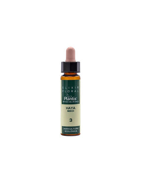 Beech flower elixir against nervousness and anger - Drops according to the method of Dr. Bach, 10 ml - Nutra Best Europe