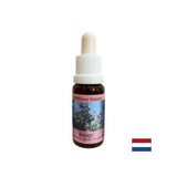 Gibt Mut, entlastet sich von starken Emotionen und fördert den Optimismus - Porec Essence Nr. 24, Tropfen 15 ml
