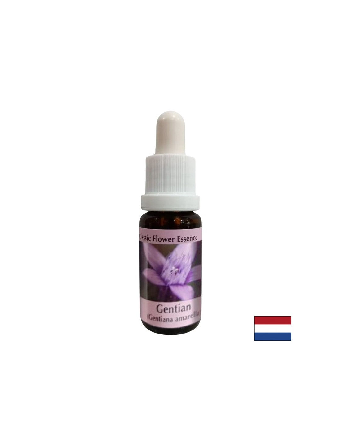 Gibt Vertrauen - Enzianessenz Nr. 12, fällt 15 ml ab