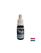 Gibt innerer Stärke in instabilen Situationen - Sea Snail Essence Nr. 8, fällt 15 ml ab
