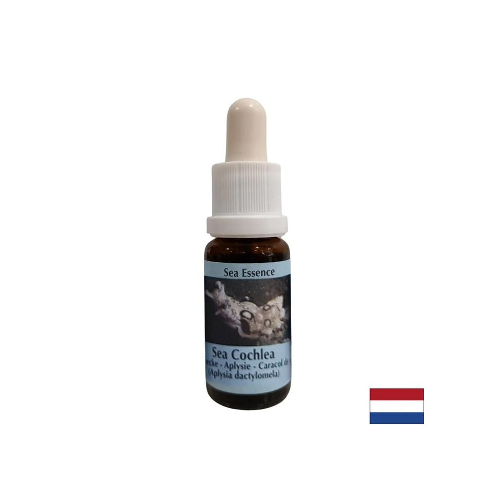 Gibt innerer Stärke in instabilen Situationen - Sea Snail Essence Nr. 8, fällt 15 ml ab