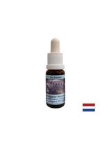 Entgiftung - Essence Physalia (portugiesische Galeere) Nr. 4, Tropfen 15 ml