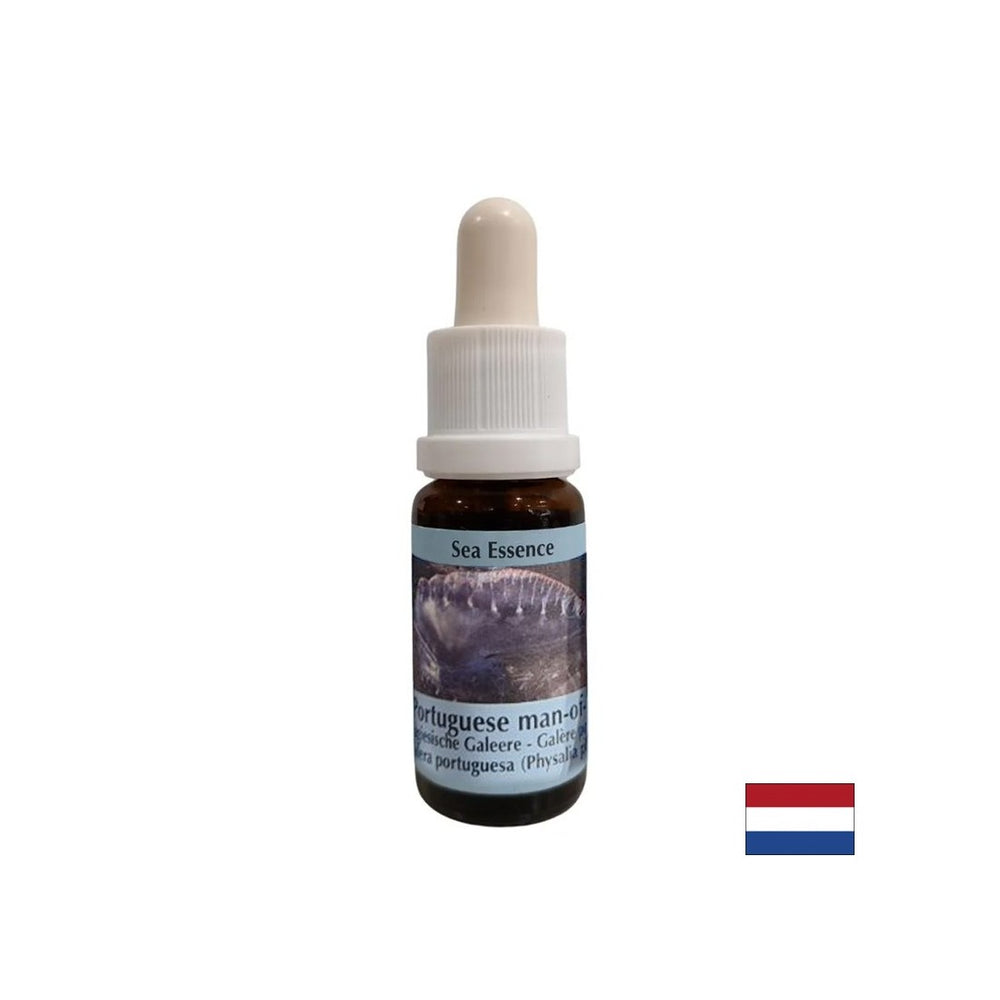 Entgiftung - Essence Physalia (portugiesische Galeere) Nr. 4, Tropfen 15 ml