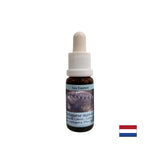 Entgiftung - Essence Physalia (portugiesische Galeere) Nr. 4, Tropfen 15 ml