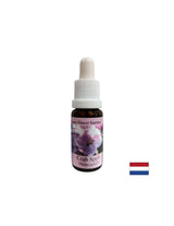 Entgiftung - Wild Apfel -Essenz Nr. 10, Tropfen 15 ml