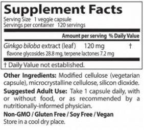 Beste zusätzliche Stärke Ginkgo 120 mg - 120 Kapseln