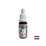 Fördert Kommunikation - Swamp Iris Essence, fällt 15 ml ab