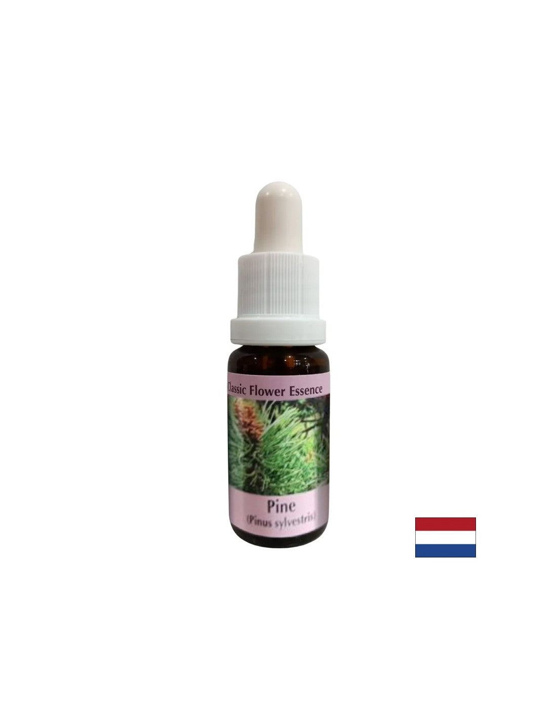 Wenn Sie sich schuldig fühlen - Essence Bor Nr. 24, fällt 15 ml ab