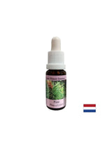 Wenn Sie sich schuldig fühlen - Essence Bor Nr. 24, fällt 15 ml ab