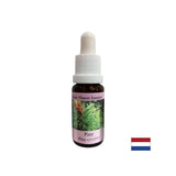Wenn Sie sich schuldig fühlen - Essence Bor Nr. 24, fällt 15 ml ab