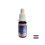 Sich auf sich selbst zu konzentrieren - Chicorée Essenz Nr. 8, fällt 15 ml ab
