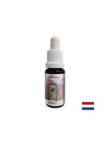 Füllt sich mit Liebe und Hoffnung - Jehiel Essence (Angel Essence Nr. 12), Tropfen 15 ml