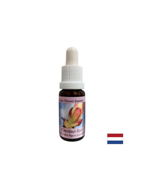 Removes energy blockages - Chestnut Bud Essence No. 7, drops 15 ml - Nutra Best Europe