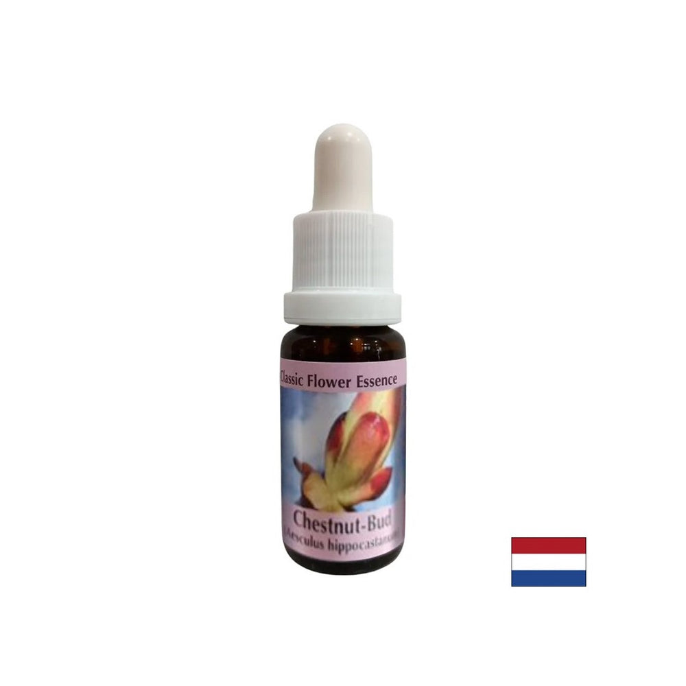 Entfernt Energieblockaden - Chestnut Bud Essence Nr. 7, fällt 15 ml ab