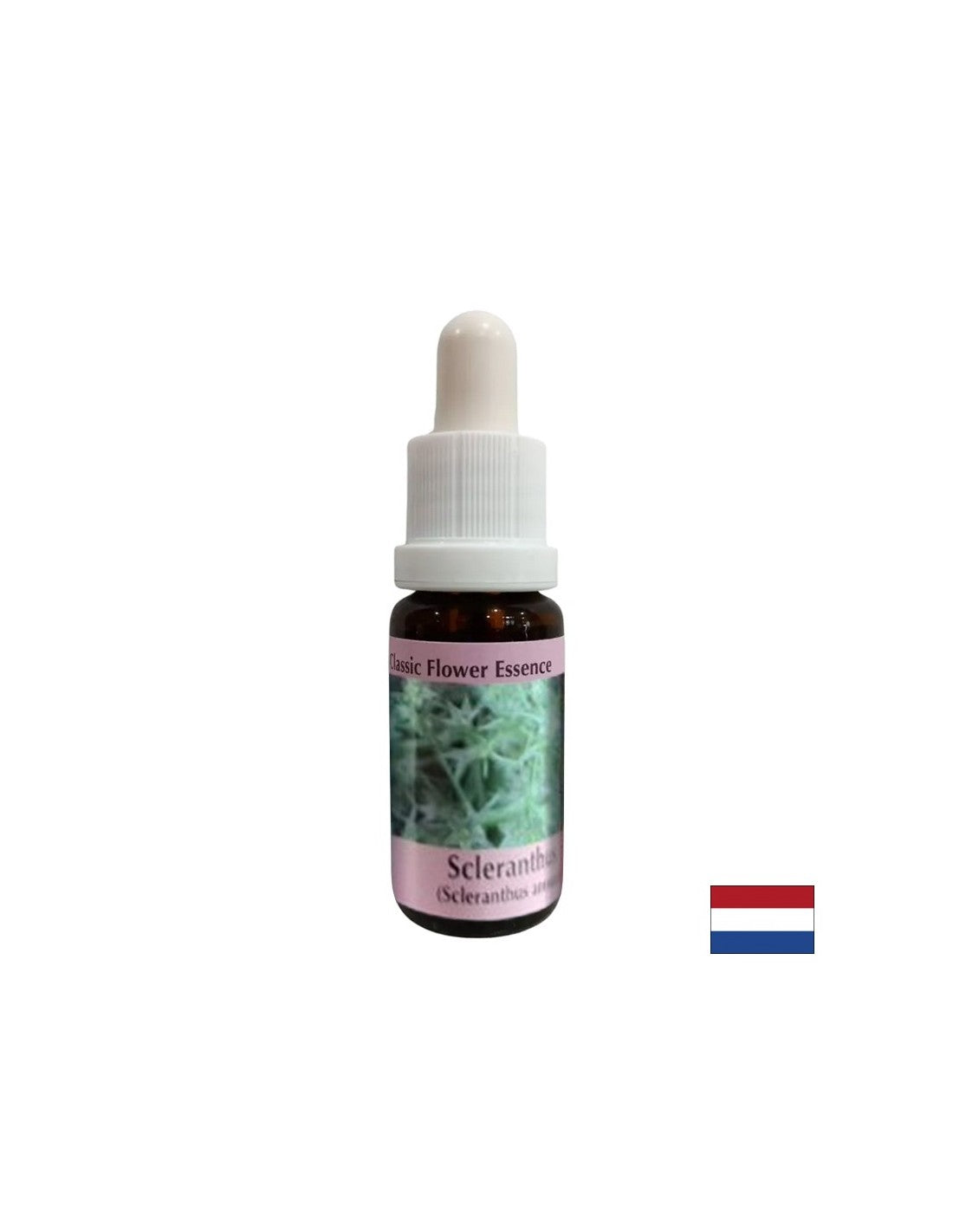 Für die interne Balance - Knorpelessenz Nr. 28, fällt 15 ml ab