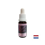 Erhöht das Selbstwertgefühl - Lärchenessenz Nr. 19, Tropfen 15 ml