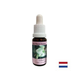 Stellt die Stärke wieder her - Olivenessenz Nr. 23, Tropfen 15 ml