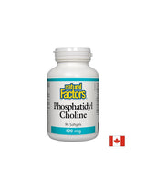 Phosphatidylcholin 420 mg - 90 Softgele
