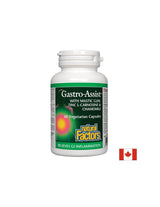 Mastic, Zink Carnosin und Kamille für ruhiges Magen - Gastro Assist ™, 60 Kapseln