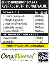 BCAA X5 Flüssigkeitsschuss - 100 ml