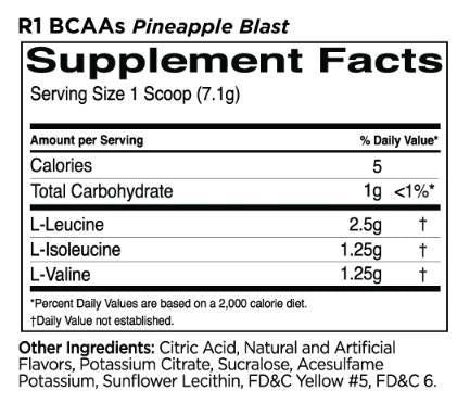 BCAAs | 100% mikronisiert 2: 1: 1 BCAA -Formel - 240 Gramm