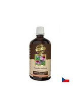 Immunität - Echinacea, 100 ml Tinktur
