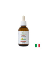 Immunität - Katzenklaue, 50 ml Tropfen
