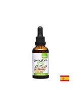 Jengibre Eco – Ingwer (Tinktur), 50 ml Arte<tc>san</tc>ia
