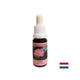 Harmonisiert die Chakren und öffnet den Geist - Essence Indian Lotus Nr. 30, fällt 15 ml ab
