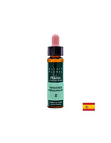 Gegen Stress und nervöse Spannung - Farbelixier mit kombinierten Tropfen nach Dr. Bachs Methode, 10 ml