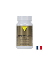 Schöne Haut - Phyto Ceramides Lipowheat ™, 350 mg x 30 Kapseln