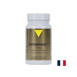 Schöne Haut - Phyto Ceramides Lipowheat ™, 350 mg x 30 Kapseln