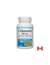 Für die Darmbarriere und Muskelfunktion - L-Glutamin, 500 mg, 60 Kapseln <tc>Natural Factors</tc>
