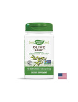 Olivenblatt 500 mg - 100 Kapseln