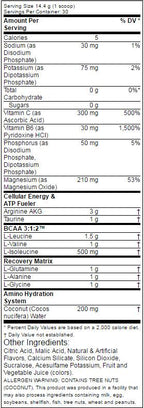 Amino 1 Hydrate + Recover 432 grams - Nutra Best Europe