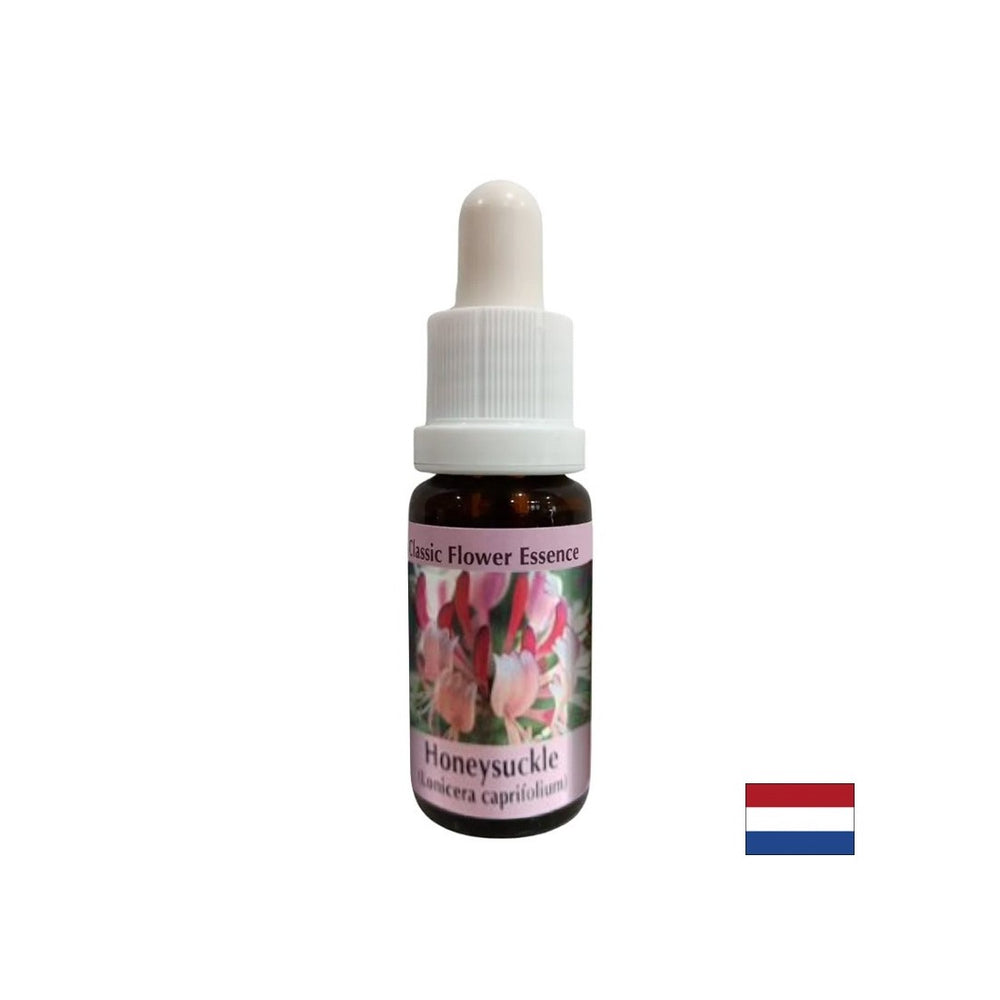 Fördert Positivität - Geißblatt Essenz Nr. 16, Tropfen 15 ml