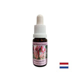 Fördert Positivität - Geißblatt Essenz Nr. 16, Tropfen 15 ml