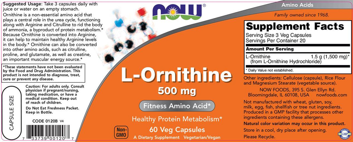 L -ARNITHINE 500 mg - 60 Kapseln