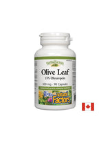 Olivenblatt 500 mg - 90 Kapseln
